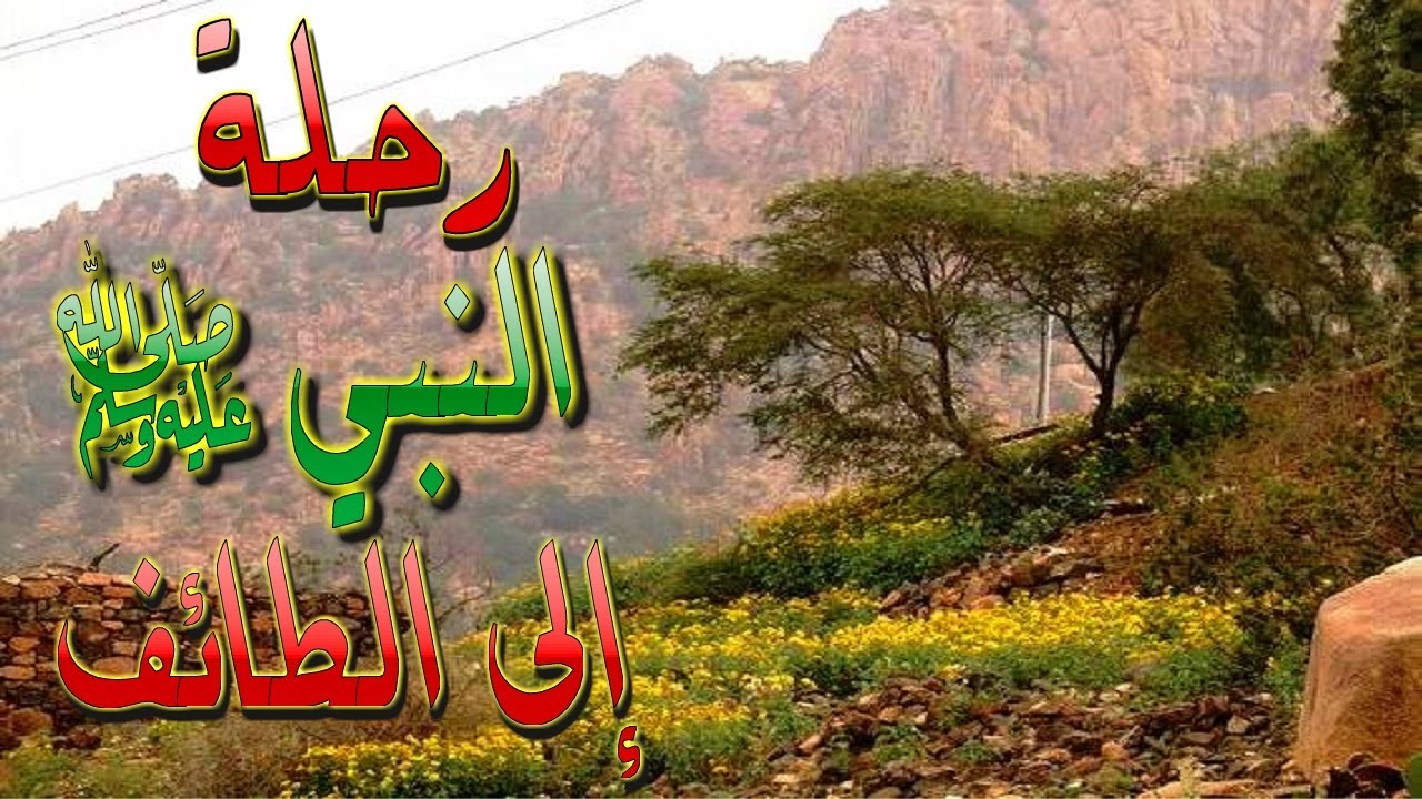 رحلة النبي ﷺ إلى الطائف صبر وبلاء ورسالة للمسلمين