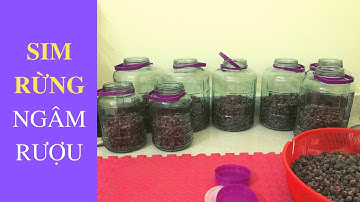 Sim rừng ngâm rượu chuẩn công thức