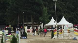 Chardonnay M-Springen Waltrop Platziert