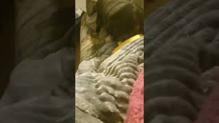 my best friend Midnight Wealth