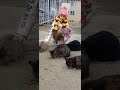 19 января 2025 г.