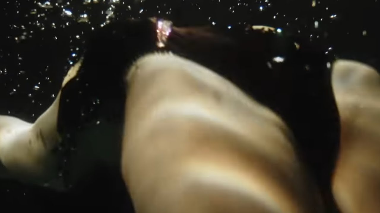 Eva b - Sonar (Official Music Video)