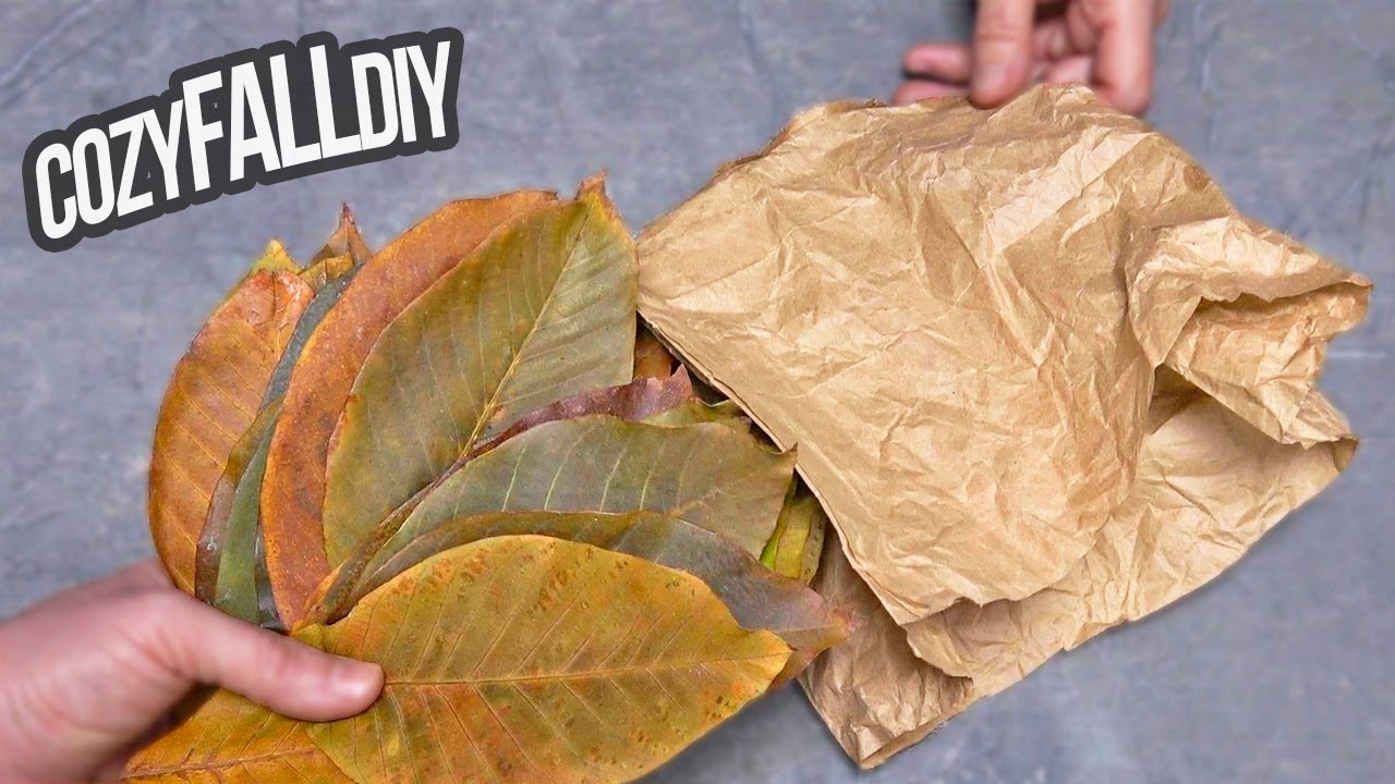 Я взяла опавшие листья и бумажный пакет и создала нечто фантастическое!  Уютная осенняя поделка свои