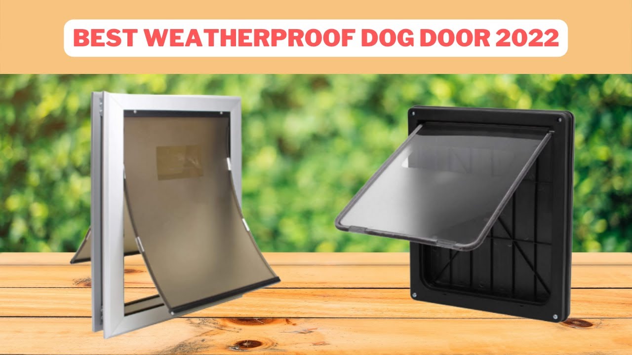Best Weatherproof Dog Door Weatherproof Dog Door Reviews 2022 YouTube