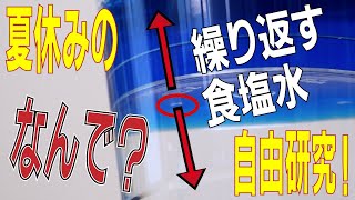 【人と被りたくない！】高校生におすすめの自由研究テーマ＆アイデア集