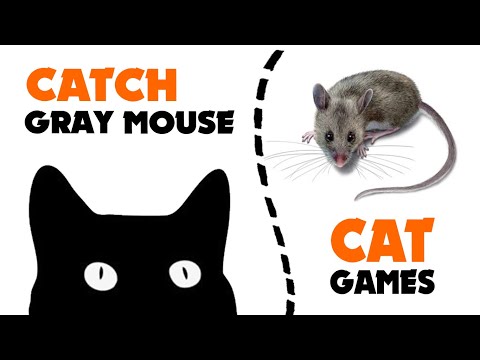 Catching-a-lot-of-GRAY-MICE-on-screen-★-games-for-cat