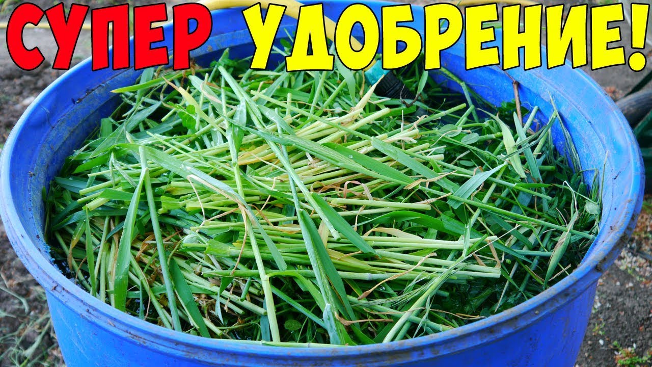 Удобрение из печки