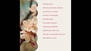 Cherokee Rose by Marge Tindal                Symbolism in the poem Cherokee Rose Meaning