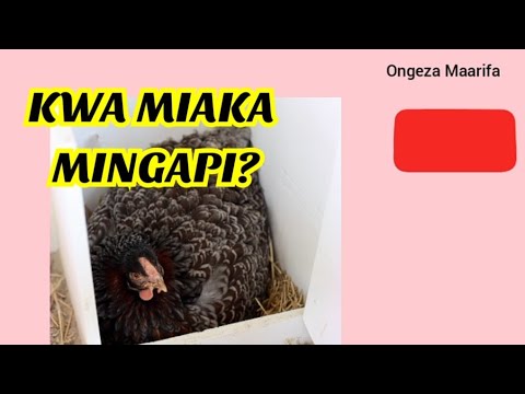 Video: Je, inagharimu kiasi gani kuunda nyumba kwa kila futi ya mraba?