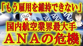 【ANA「もう雇用を維持できない」】国内航空最大手ANAが遂に早期希望退職者を募り始めた！他方、踏ん張り続けるJAL！この2社の差はどこで生まれたのか？10年前に経営破綻したJALの侮れぬ経験値！