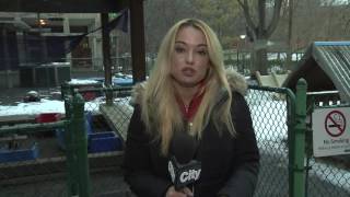 Video: Toronto homeowners brace for possible property tax increase in 2017