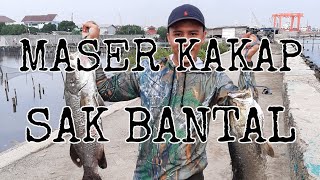 PASER IKAN BARAMUNDI DAPAT 10KG DI LAUT JAKARTA UTARA || MB02 #pasermania #juraganbedhil