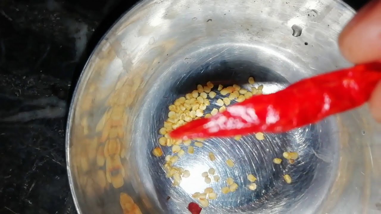 How to grow 🌶 plant with chilli