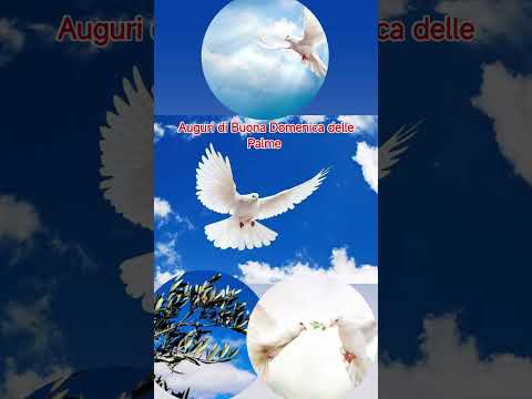 Video Auguri di Buona Domenica delle Palme. #Auguri #palme #pasqua #musica #ilsignoreelamiasalvezza