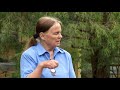 The strength of alpine plants: Prairie Yard & Garden