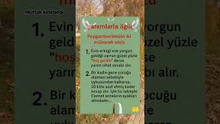 Peygamber Efendimizin Mübarek Sözleri