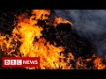 New video by BBC News on YouTube