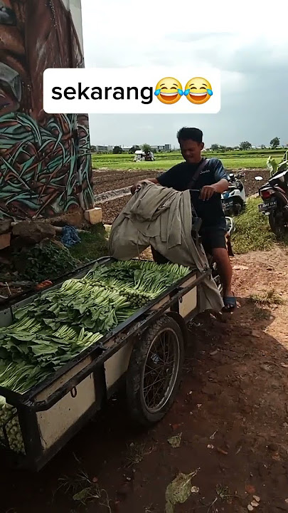 jang #jangkauanluassemuaorang #comedy #hiburansegar #funny #gudanghiburan