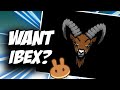 Ibex token  how to buy ibex crypto on pancakeswap