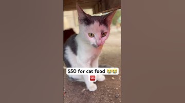 Donate via my PayPal link in the bio for help