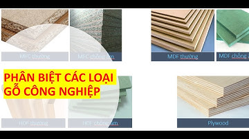 Phân biệt các loại gỗ công nghiệp MFC, MDF, HDF, Plywood,..