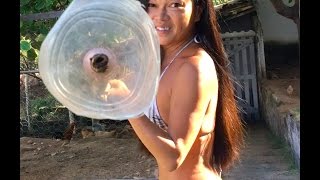 カシューナッツの果実を収穫