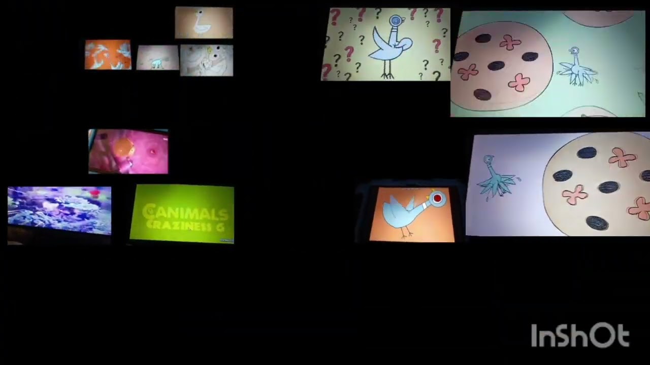 pigeon and canimals random maze