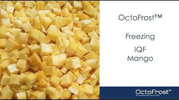 OctoFrost™ IQF Freezing Mango