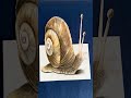 3D Illusion of a Snail