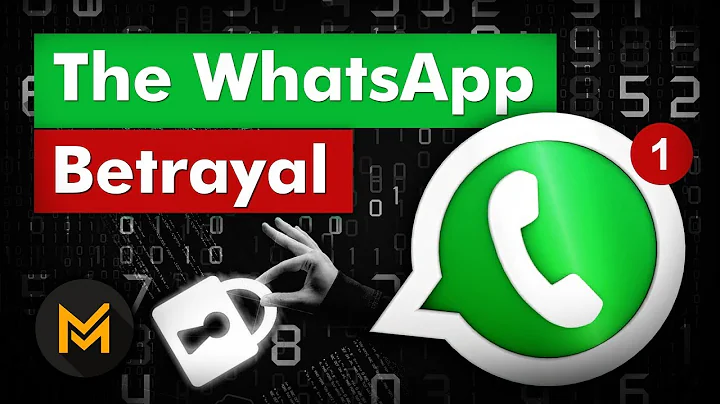 How WhatsApp Makes Money: The INSANE Story of WhatsApp - DayDayNews
