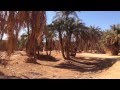 Oasis de Beni Isguen 1/2 واد نتيسا في واحات بني يسجن