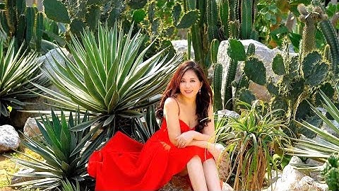 CACTI ZONE vườn Xương Rồng lớn nhất miền Bắc và những loại Xương Rồng lạ hiếm thấy hội tụ (Phần 1)