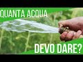 QUANTO INNAFFIARE L'ORTO? | ORTO E GIARDINAGGIO
