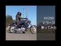 XV２５０　ビラーゴ乗ってみた　＃ビラーゴ250　＃モトブログ