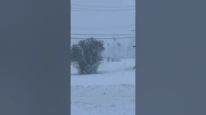 #winter wonderland - #minnesota #snow storm #shorts