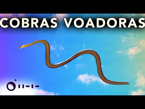 Vídeo: Existe uma constelação de cobras?