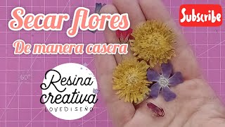 Secar flores de manera casera secado de flores para resina epoxi