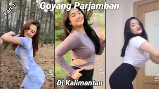 TikTok Viral 2021 | Goyang Parjamban_Dj Kalimantan Nih Ngalih Kam | Part 1