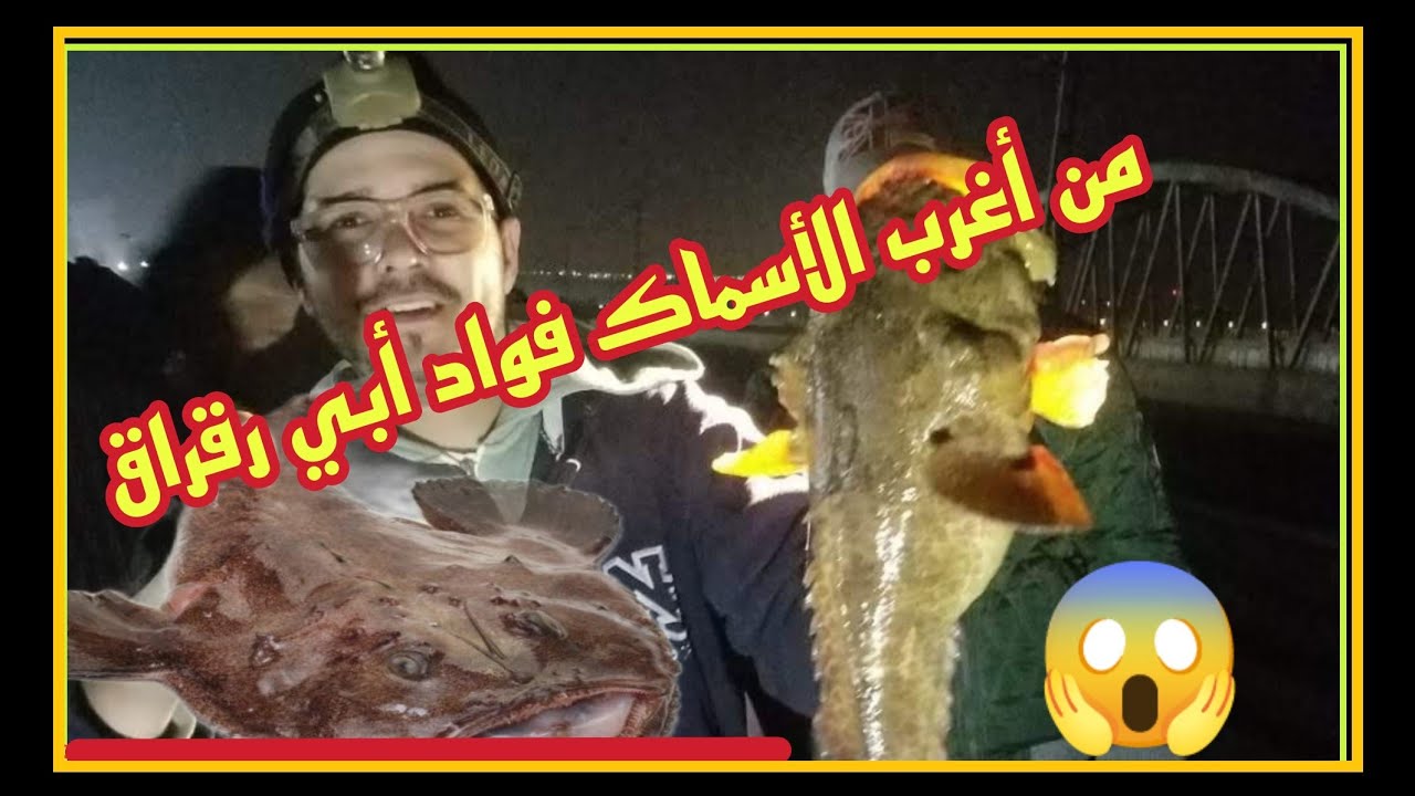 حفر الموت 😱(سلا )صيد سمك بليل ( ݣوال) fou loutte من أشرس الاسماك 🎣🐟