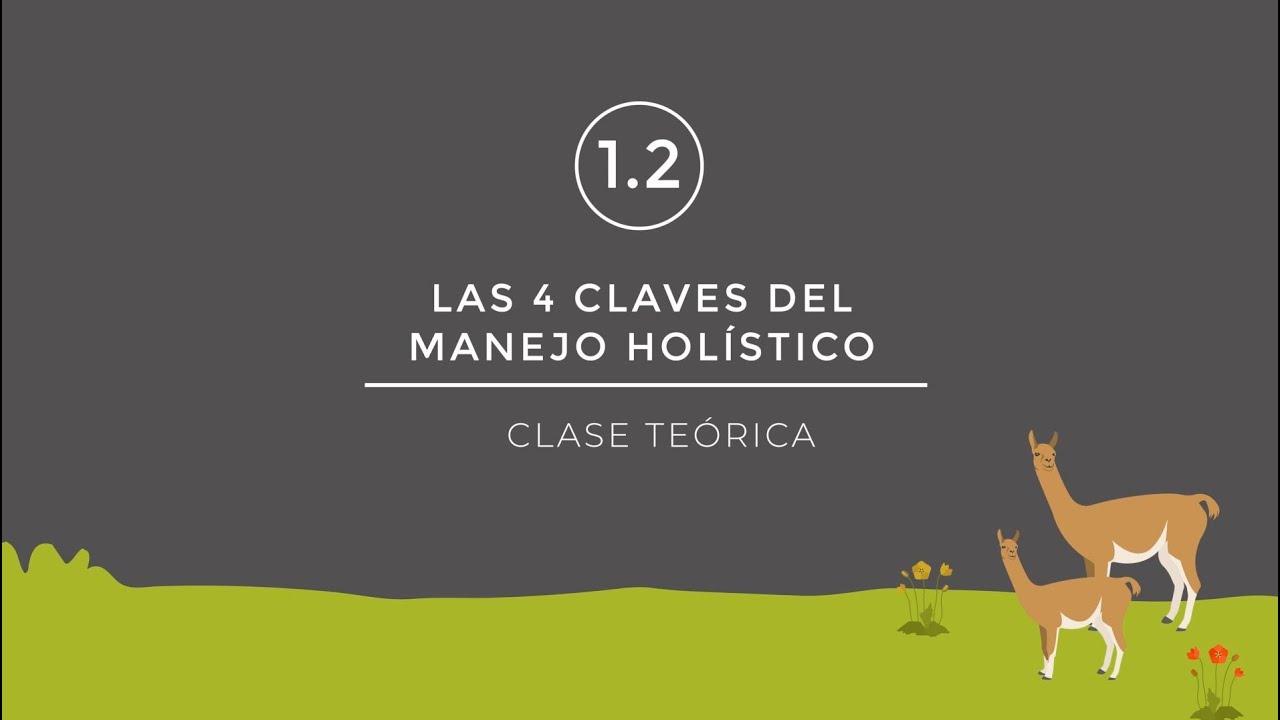 Clase GRATIS | ¿Por qué ELEGIR el MANEJO HOLÍSTICO?