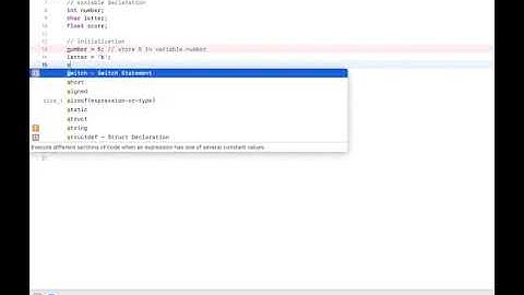 C++ Tutorial: Variable Declaration, Initialization & Assignment