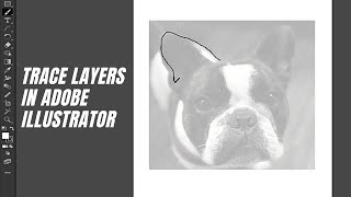 Adobe Illustrator 2021 - How to Trace Using Template Layers