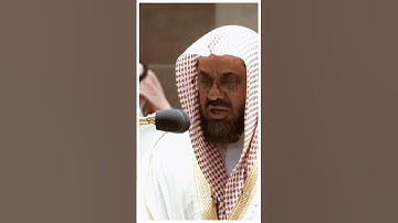 تلاوة مرئية سورة المائدة الآيات من ١١٧ إلى ١١٨ الشيخ سعود الشريم