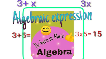 Algebraic Expressions-Basics|Enjoy in learning|unchanging relations|lesson3 mathematics|class7