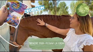 Cómo TRENZAR la CRIN de tu CABALLO | TRENZAS SIMPLES