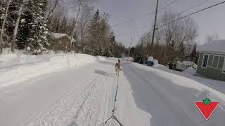HMK 4 Season Goggles reviewed by Cameron