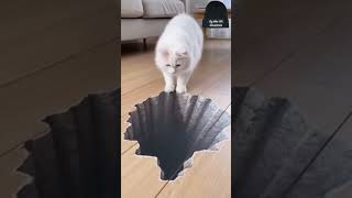 Cats 🐈 afraid 😳 of 3D floor #cat #3d #shortsviral #shorts