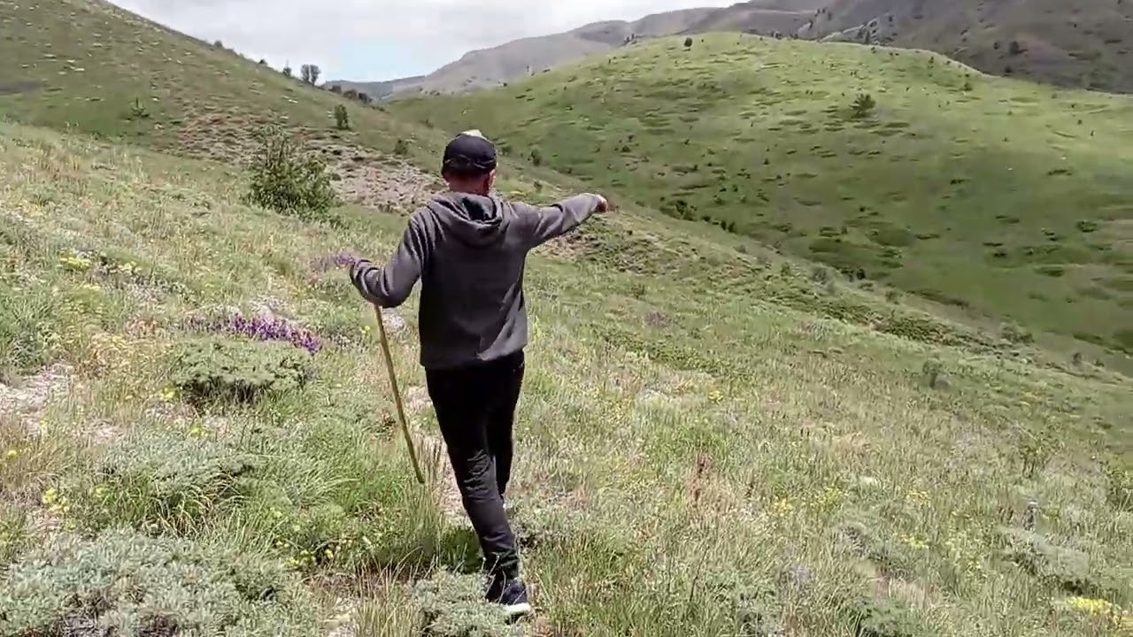 KIZILENİŞKÖYÜ 2025 YAYLA...