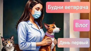 Веселые будни ветврача "от" и "до"