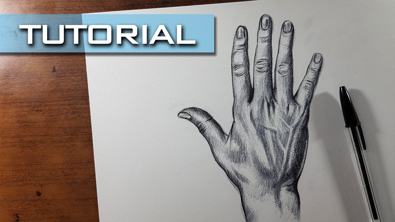 Aprende a Dibujar una Mano con Bolígrafo, Muy Fácil - thptnganamst.edu.vn